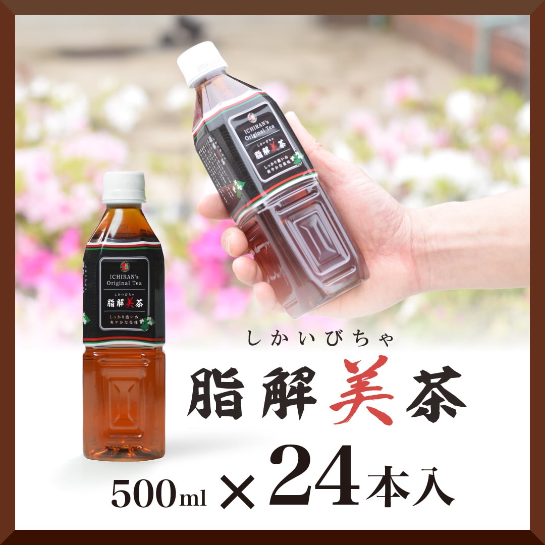 【おまとめ買い】脂解美茶（24本入）